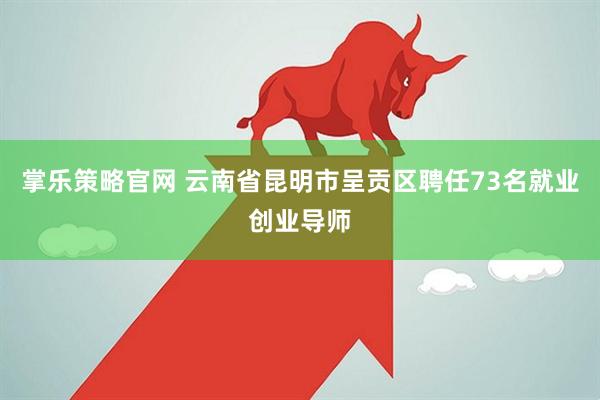 掌乐策略官网 云南省昆明市呈贡区聘任73名就业创业导师