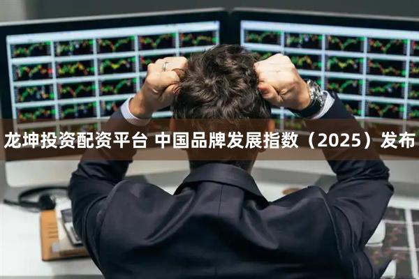 龙坤投资配资平台 中国品牌发展指数(2025)发布